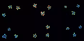 Plant-associated microbiota 2